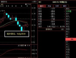 600176股票，中国巨石公司基本资料？
