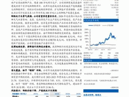 000893股票（钾盐矿上市公司有哪些？）