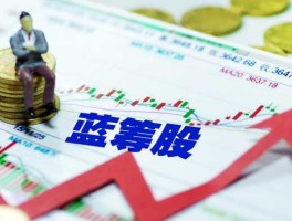 蓝筹公司？什么叫蓝筹股呢？