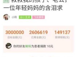 诺言筹 轻松筹的证明属实怎么写？