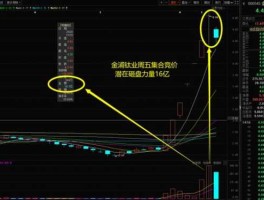 金浦钛业（金浦钛业属于小盘股还是大盘股？）