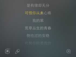 原醉 歌词“我往哪里找，像你这么好……”是哪首歌啊？