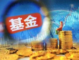 创业投资引导基金（什么是创业指数基金？）