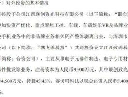 600363股票 江西联创致光科技有限公司怎么样？