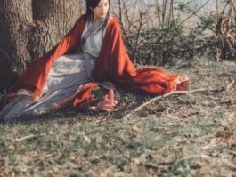何以飘零去 何以少团栾 何以飘零去全诗意思？