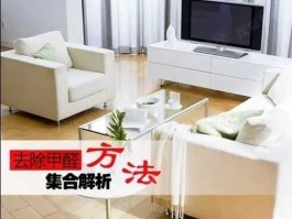 柚子装修？柚子能去除新装修甲醛吗？