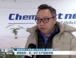 300149，300149睿智医药主营业务？