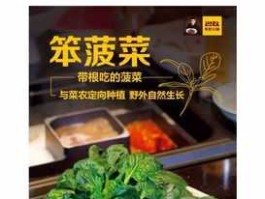 挑食火锅送 巴奴火锅笨菠菜介绍？