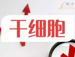 苏常柴股票（干细胞概念股有哪些？）