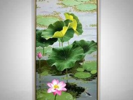 博雅，博雅装饰画荷花的寓意？