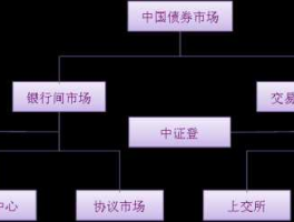 交易所债券市场（交易所在债券市场履行的职责包括？）
