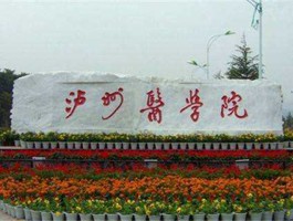 泸州吧？泸州医学院大有大专的吧，录取分数线是多少呀？