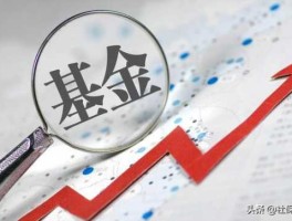 统筹基金（什么是统筹基金？）