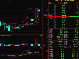 股票600133 什么是东湖高新？