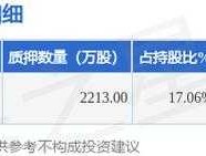 300343，300343联创股份生产什么？