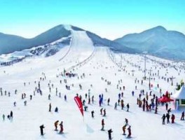 山推股份（秦彤茜博客山推股份后市会怎样？）
