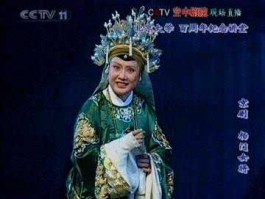 袁慧琴杨门女将，杨门女将精神的说说？
