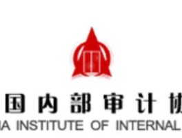 中国内审协会 审计局是管什么的？