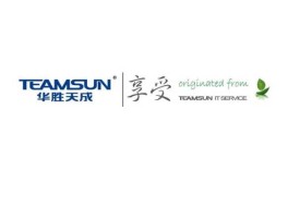 华胜天成科技股份有限公司，华胜天成是个什么样的公司？