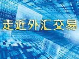 做外汇有几人能赚钱（做外汇真的是稳稳赚不赔吗风险大吗）