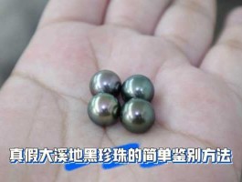 大溪地黑珍珠 怎么鉴别大溪地黑珍珠的真假？
