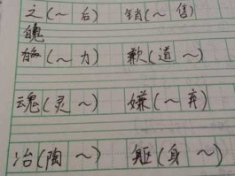 天天优返（衷组词和部首？）
