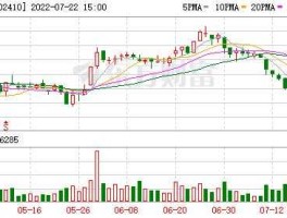 002410，002410paas发展如何？