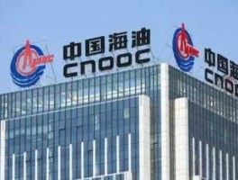 中海石油化学，中海石化油品评测？