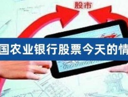 农业银行 股票 买农业银行的股票好吗我觉的农业银行的股票盈利小，风险也小？