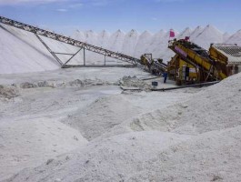 盐湖股份新消息 盐湖股份可生产食用盐吗？