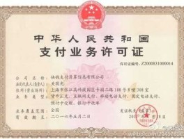 第一批支付牌照？中国政府审批的第三方支付平台都有哪些？