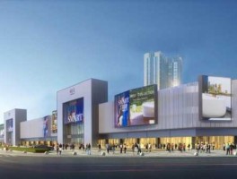 泰炯 雄峰城有什么品牌？