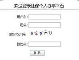 上海社保网 上海12333社保个人查询？