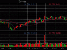 大杨创世股份有限公司（大杨创世公司还存在吗）