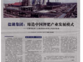 盐湖集团贴吧，盐湖集团真的取消股份了吗？