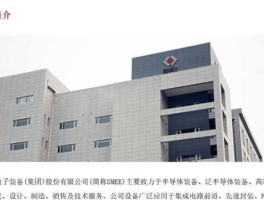 600635，张江高科有上海微电子股份吗？