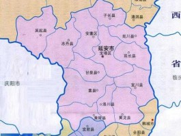 240006 宝塔区人口2020总人数？