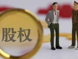 股权投资？股权投资准备是什么意思？