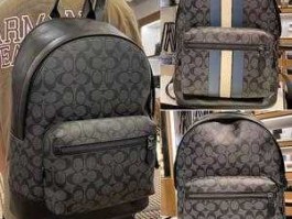 我去年买了个登山包超耐磨，coach包耐磨吗？