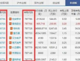 200016股票 2开头的是什么股票？