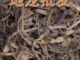 地龙价格（云南能养殖广地龙嘛？）