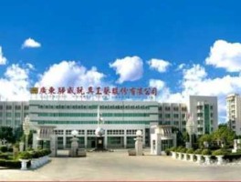 骅威股份，汕头澄海有品牌的玩具公司或者玩具厂商是那些呢？