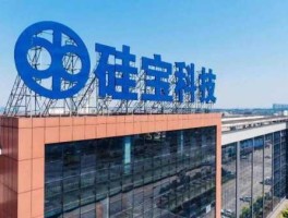 硅宝科技股票（硅宝科技是国企吗？）