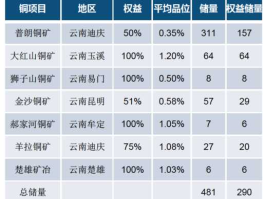 002378（中国铜矿龙头企业？）