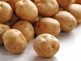 崇礼滞销土豆进京（张家口特产礼品？）