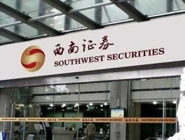 西南证券公司？西南有哪些证券公司？