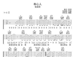 有心人有情人（有心人儿用情深，泪水诉说毫无缘份是什么歌的歌词？）