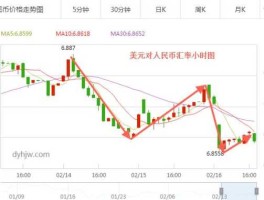美元人民币汇率（美元人民币汇率分析）