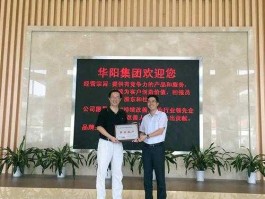 华阳股份股，惠州市华阳集团股份有限公司怎么样？
