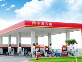 中石化集团公司，中石化全称？